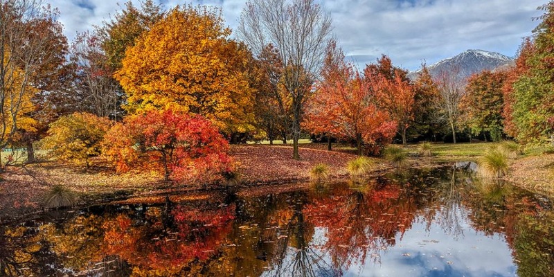 Aujourd’hui, nous fêtons l’arrivée de l’automne !