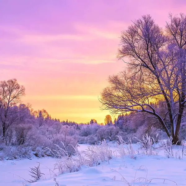 Aujourd'hui c'est l'Hiver...