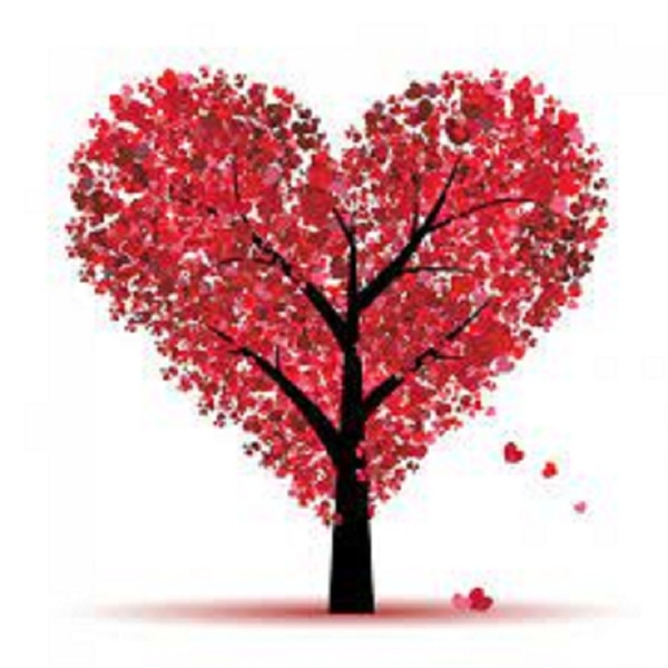 St Valentin 🩷 St Valentin 🩷