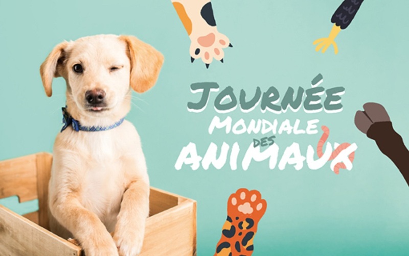 Journée Mondiale des animaux