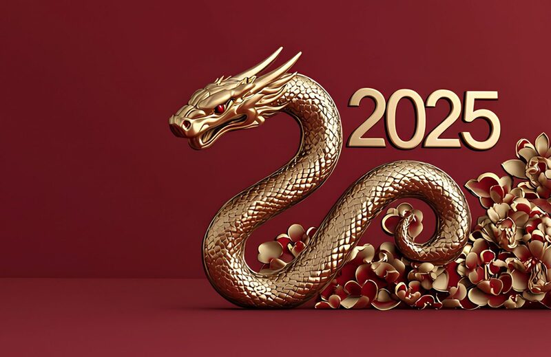 Le nouvel an Chinois placé sous le signe du Serpent de bois